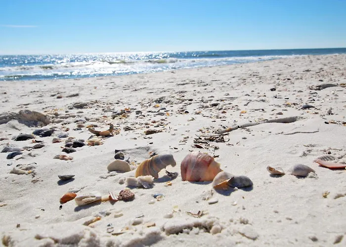 Mohs Paradise By Youngs Suncoast * Gulf Shores